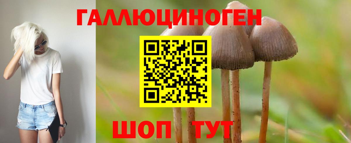 Киржач  Галлюциногенные грибы GOLDEN TEACHER  где продают   Галлюциногенные грибы ЛСД  Вход с VPN 